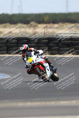 media/Jul-19-2025-TrackDaz (Sat) [[ff1509a44a]]/C Group/1240pm (Turn 1)/